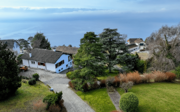 Building land - image - 1