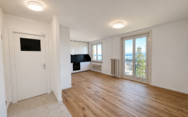 Wohnung 2.5 Zimmer - image - 1