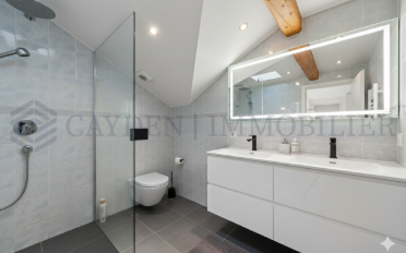 Maison 13 pièces - image - 13