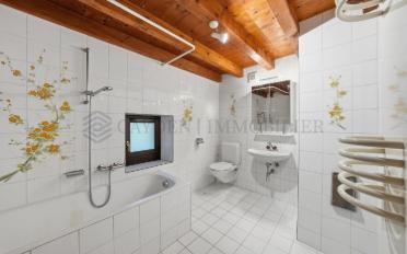 Single house 10 rooms - image - 12