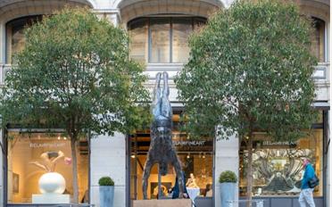 Shop - image - 1
