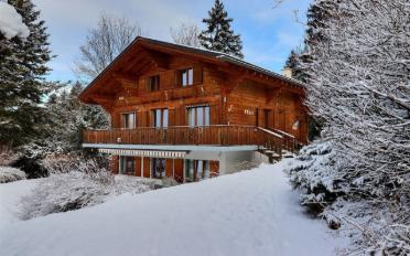 Chalet 6.5 rooms - image - 1