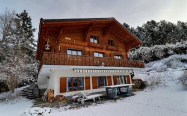 Chalet 6.5 rooms - image - 2