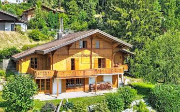 Chalet 6.5 Zimmer - image - 2
