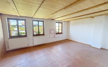 Farm house 9 rooms - image - 6
