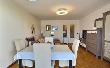 Wohnung 2.5 Zimmer - image - 4