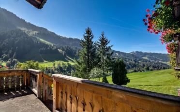 Chalet 17 Zimmer - image - 8