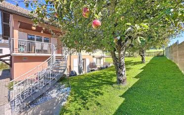 Villa 10 Zimmer - image - 2