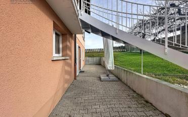 Villa 10 Zimmer - image - 13