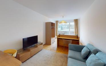 Furnished flat 1.5 rooms - image - 6