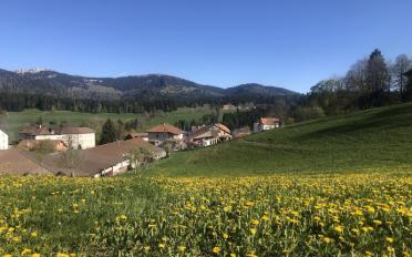 Wohngebäude - image - 1