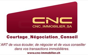 Attique 6.5 pièces - image - 9