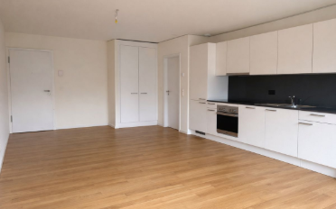 Appartement 2.5 pièces - image - 2