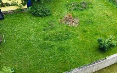 Wohnung 2.5 Zimmer - image - 6