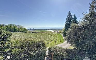 Villa 6 Zimmer - image - 1