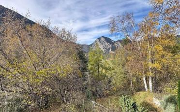Chalet 4.5 Zimmer - image - 13