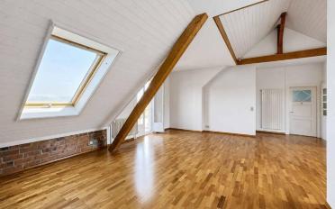 Roof flat 3 rooms - image - 4