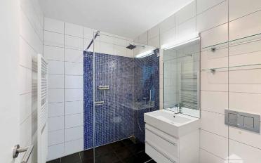 Apartment 3.5 rooms - image - 12