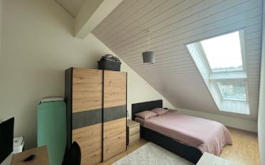 Apartment 2.5 rooms - image - 5