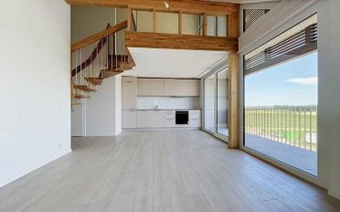 Roof flat 3.5 rooms - image - 2