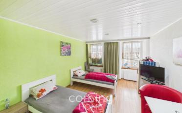 Mixed use property 13 rooms - image - 13