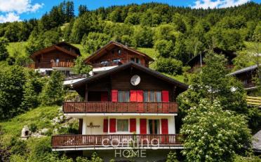 Chalet 7 Zimmer - image - 1