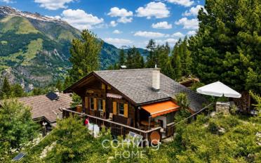 Single house 4 rooms - image - 12