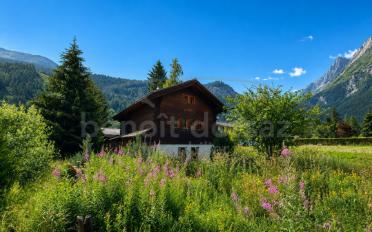 Chalet 3 rooms - image - 7