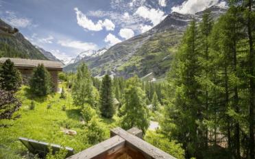 Chalet 6.5 rooms - image - 6