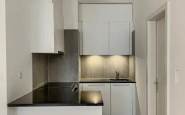 Appartement 1.5 pièces - image - 3