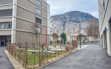 Apartment 3.5 rooms - image - 10