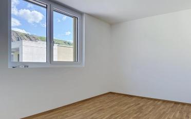 Wohnung 2.5 Zimmer - image - 5