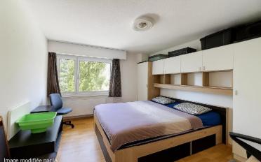 Wohnung 4.5 Zimmer - image - 10