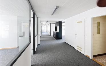 Büro 5 Zimmer - image - 6