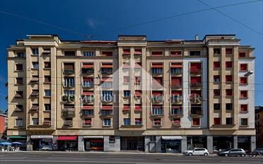 Shop - image - 1