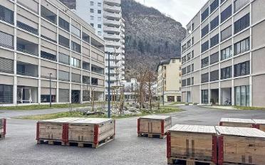 Wohnung 4.5 Zimmer - image - 10