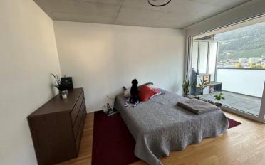 Apartment 2.5 rooms - image - 6