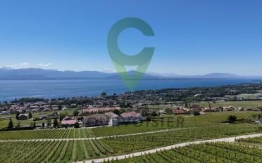 Apartment 5.5 rooms - image - 7