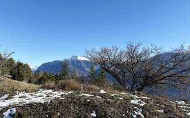 Terrain à bâtir - image - 4