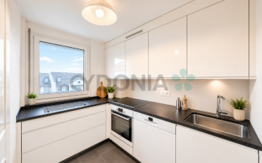 Duplex 3.5 rooms - image - 12