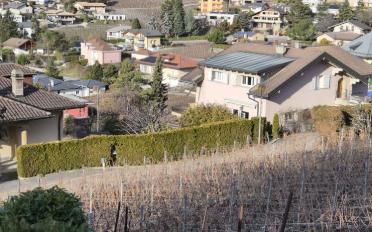 Villa - image - 5