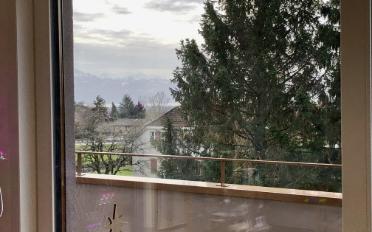 Apartment - image - 4