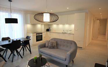 Appartement meublé 2.5 pièces - image - 4
