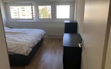 Apartment 3.5 rooms - image - 4