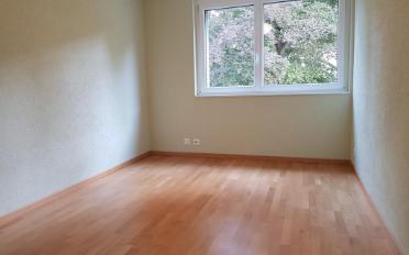 Appartement 4.5 pièces - image - 8