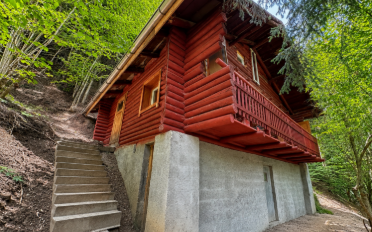 Chalet 3 Zimmer - image - 1