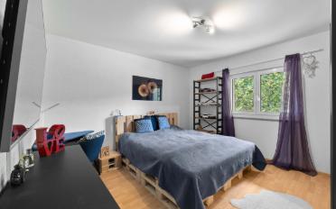 Single house 6.5 rooms - image - 7
