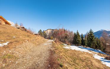 Bauland - image - 3
