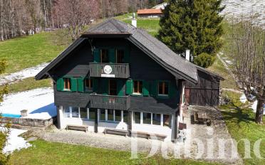 Chalet 11 pièces - image - 2
