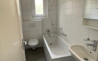 Wohnung 3.5 Zimmer - image - 2
